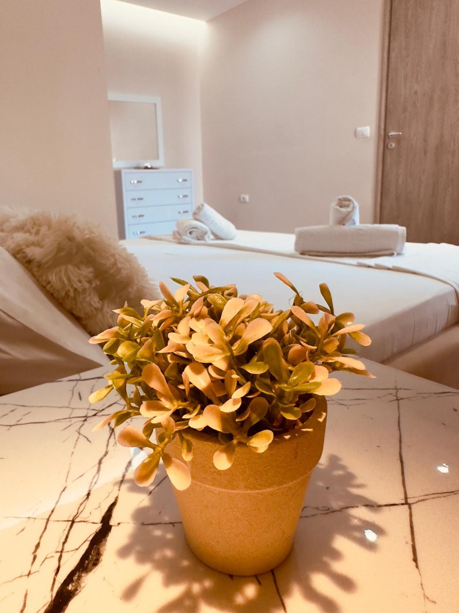 Apartamento Merkuri *