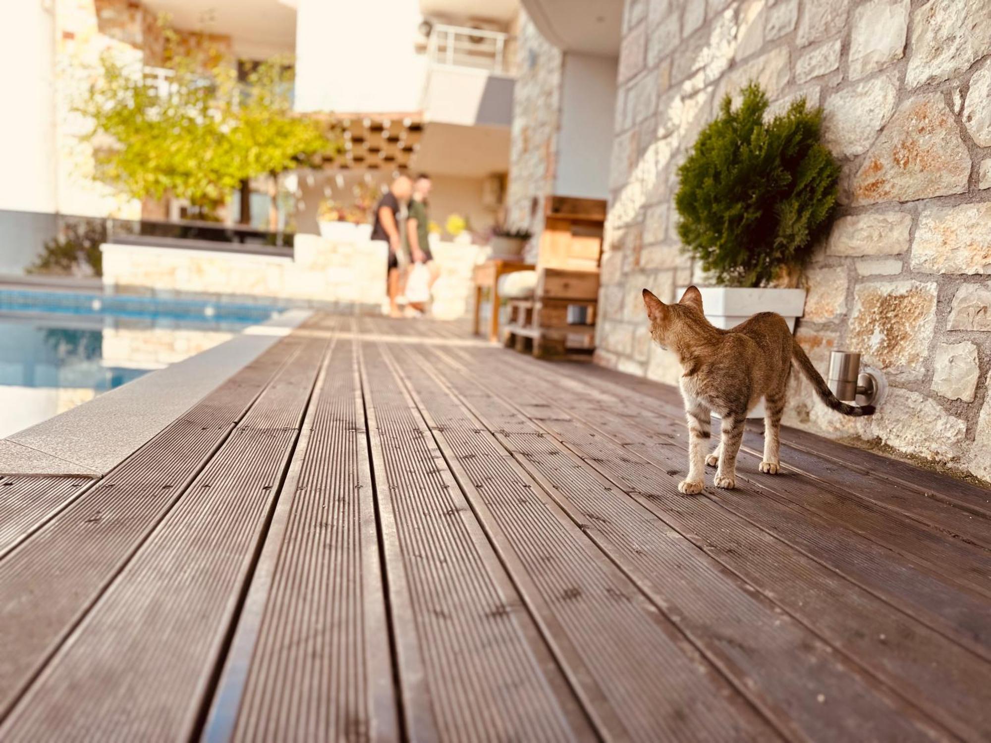 Apartamento Merkuri *